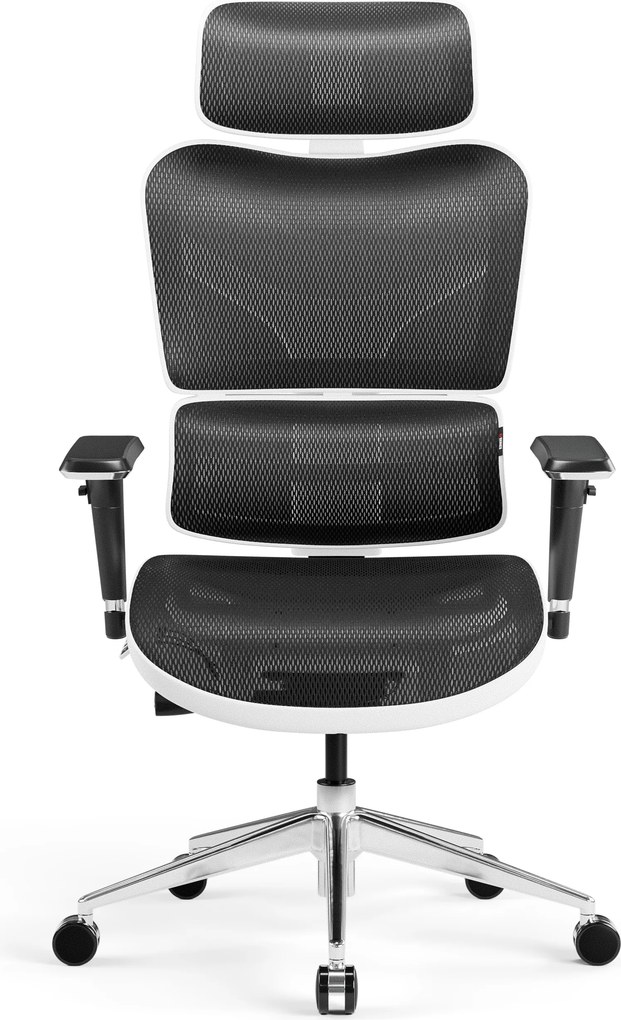 Ergonomikus irodai szék, fehér-fekete: Diablo V-Commander
