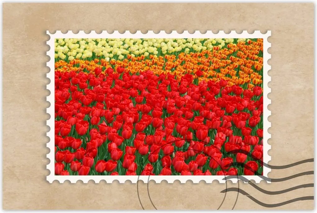 Poszterek 60x40 Pipacsos ártér