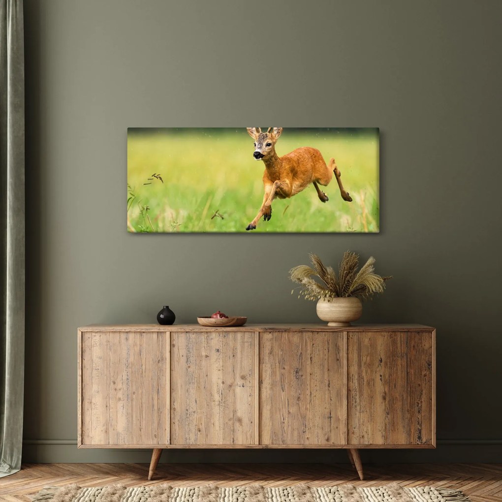 Kép - Őz (120x50 cm)