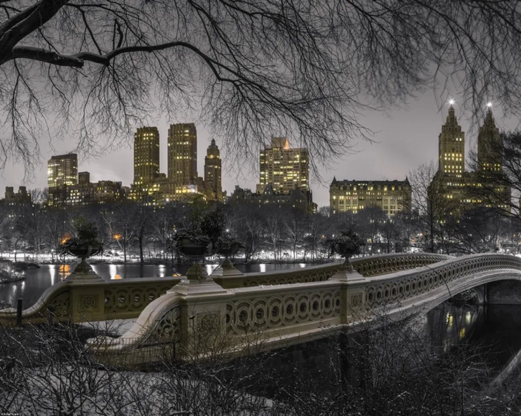 Poszter 50x40cm Központi park Manhattan panorámával, Assaf Frank