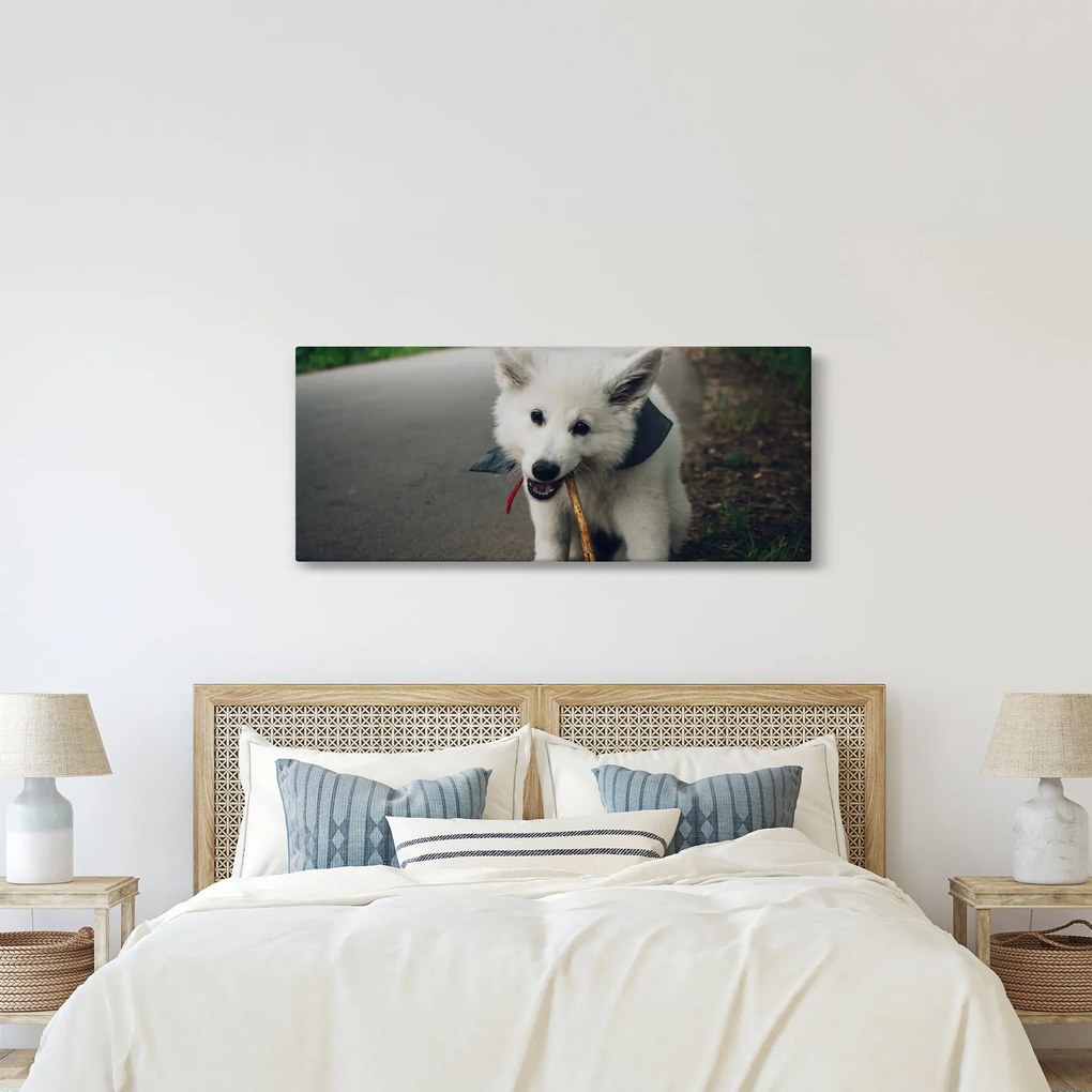 Egy fehér kutya képe (120x50 cm)