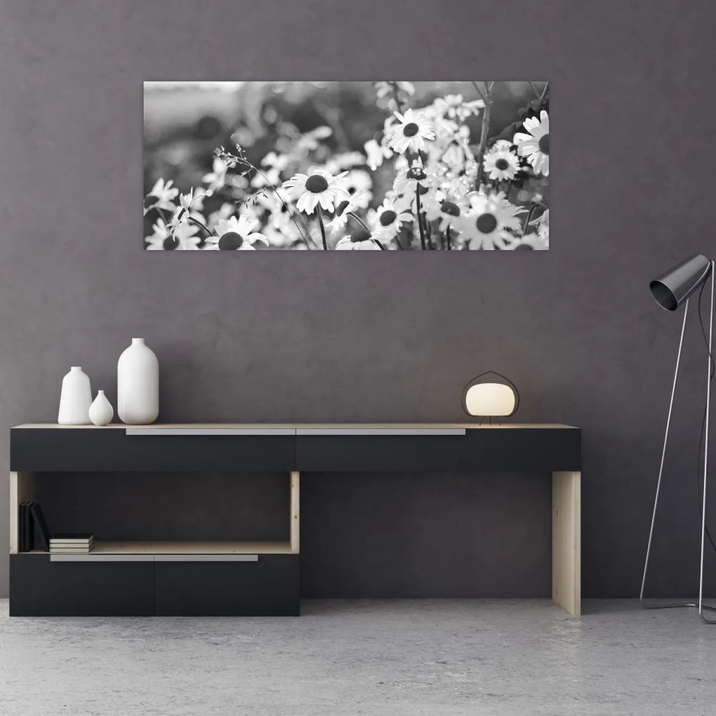 Kép - Százszorszépek (120x50 cm)
