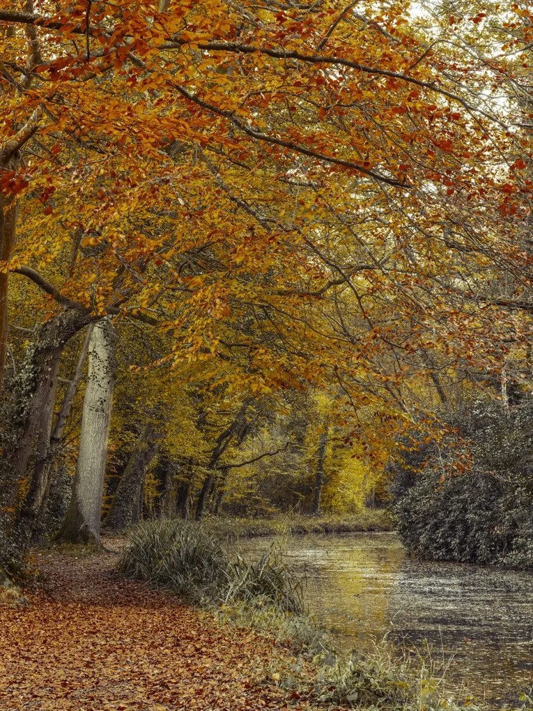 Poszter 60x80cm Ösvény a csatornánál, Assaf Frank