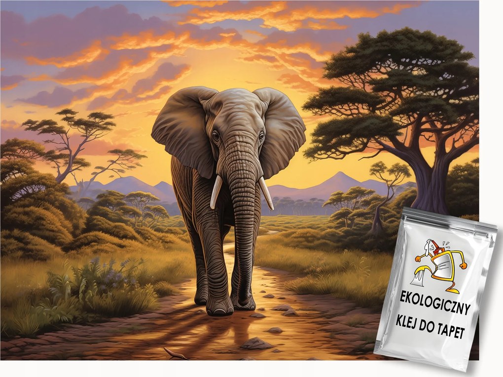 Fotótapéta Flizelina Afrika Szavanna Elefánt Séta Naplemente 100x75 ragasztó