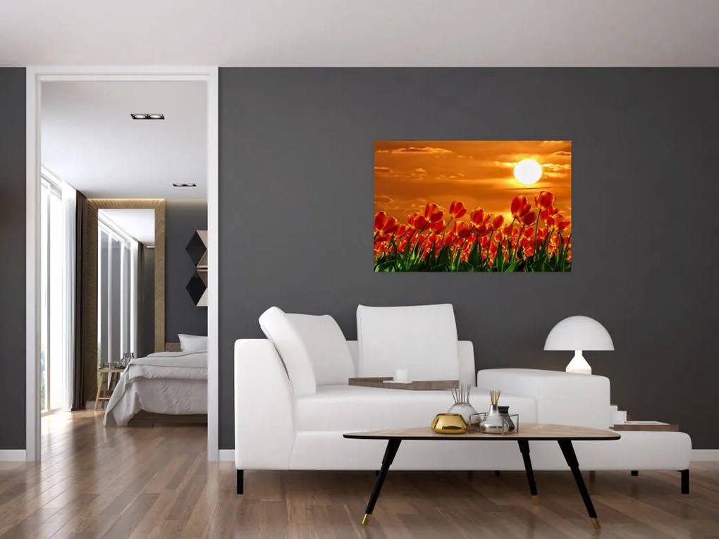 Kép egy virágzó mező tulipánokkal (90x60 cm)