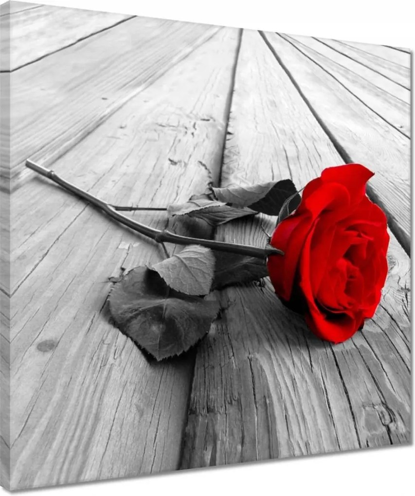 Vászonkép 40x40 Vörös rózsa a deszkákon