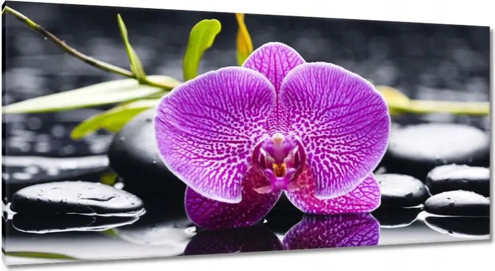 Vászonkép 115x55 Lila orchidea