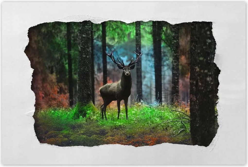 Poszterek 60x40 Szarvas a mesés erdőben