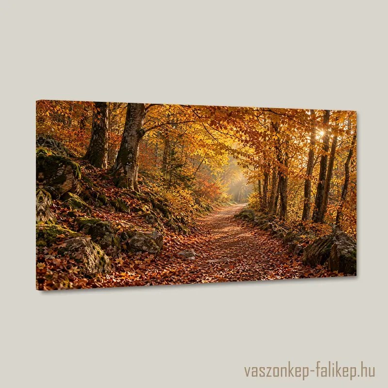 Aranyló Ösvény falikép – Kézműves minőség 40x23 cm