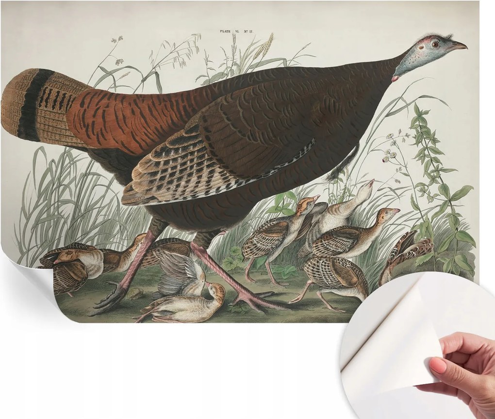 Fali fotótapéta előszoba konyhába Természetes harmónia 104x70 cm