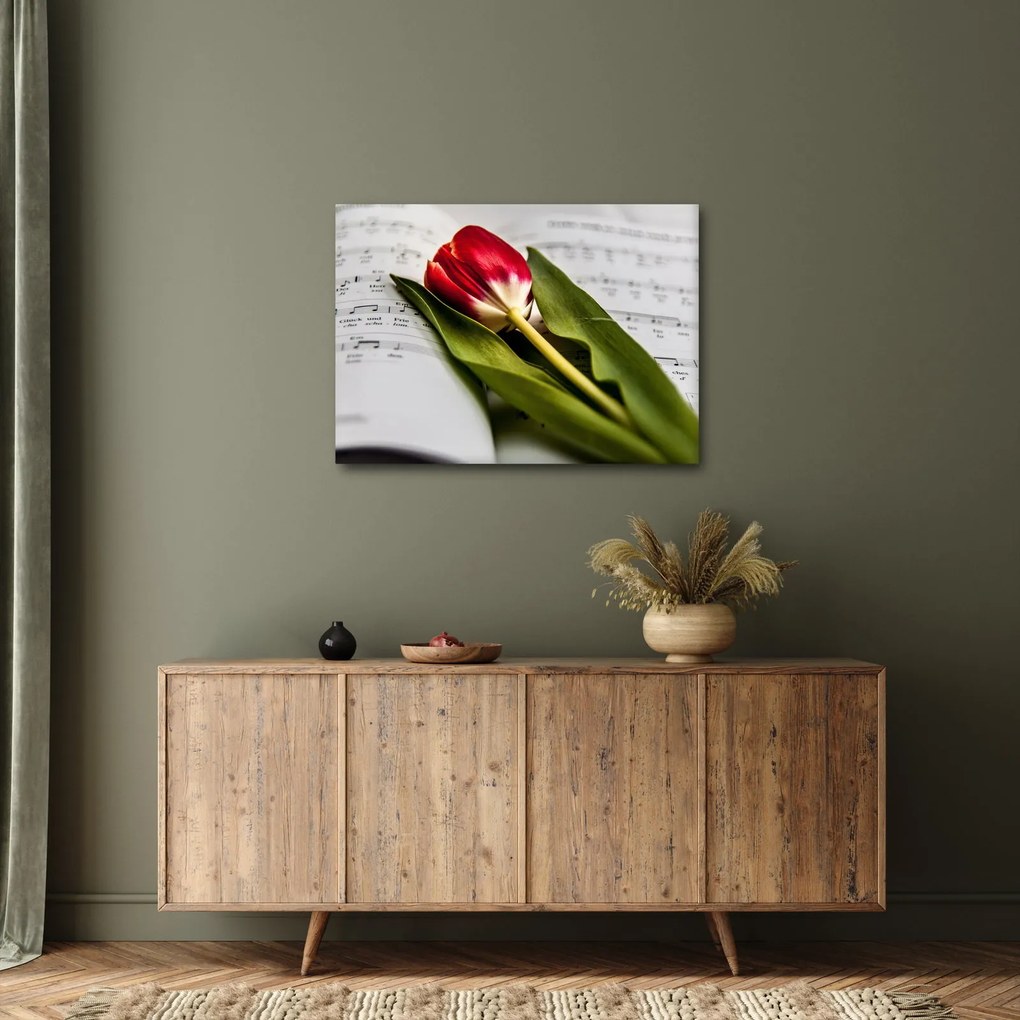 Egy vörös tulipán képe (70x50 cm)