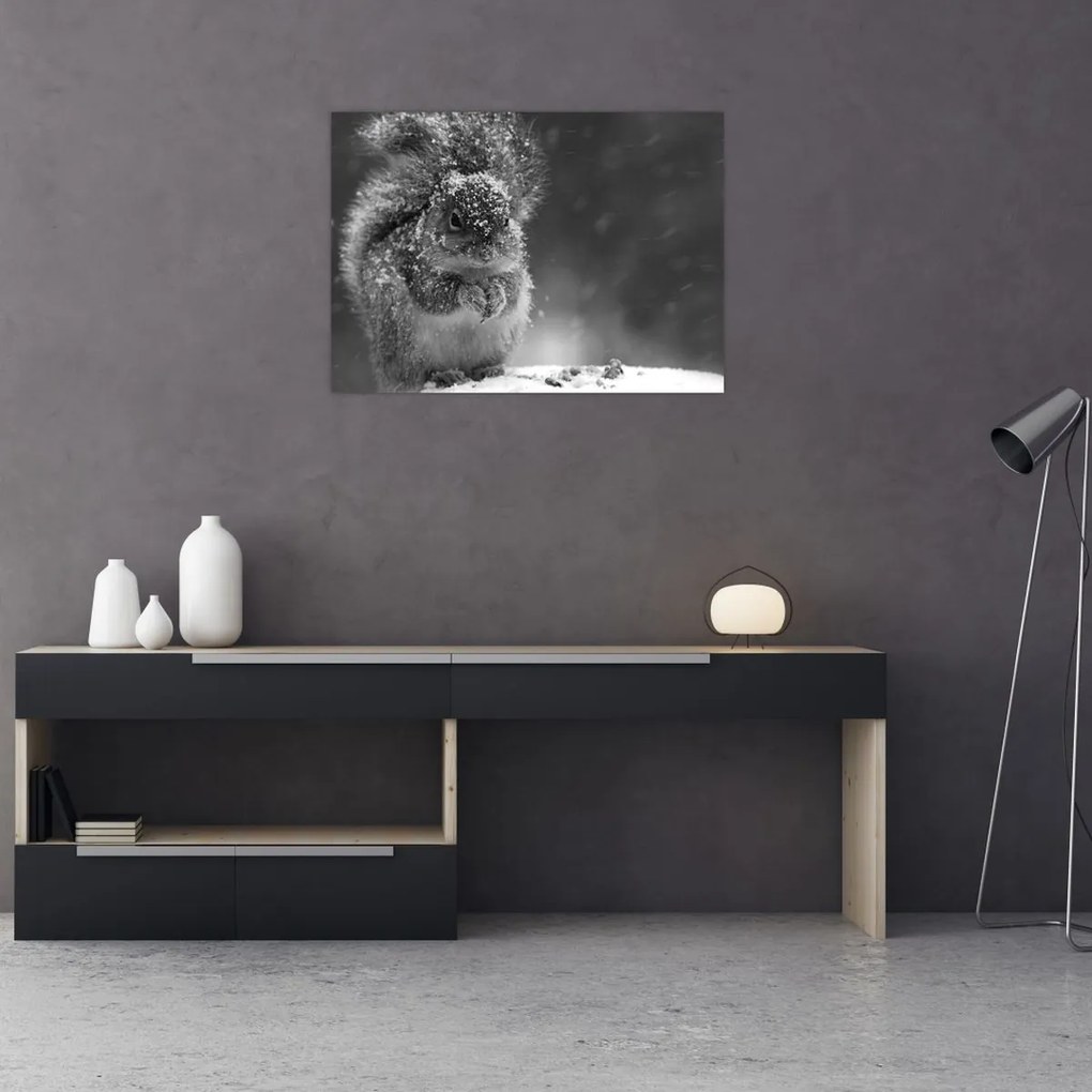 Kép - Mókus télen (70x50 cm)