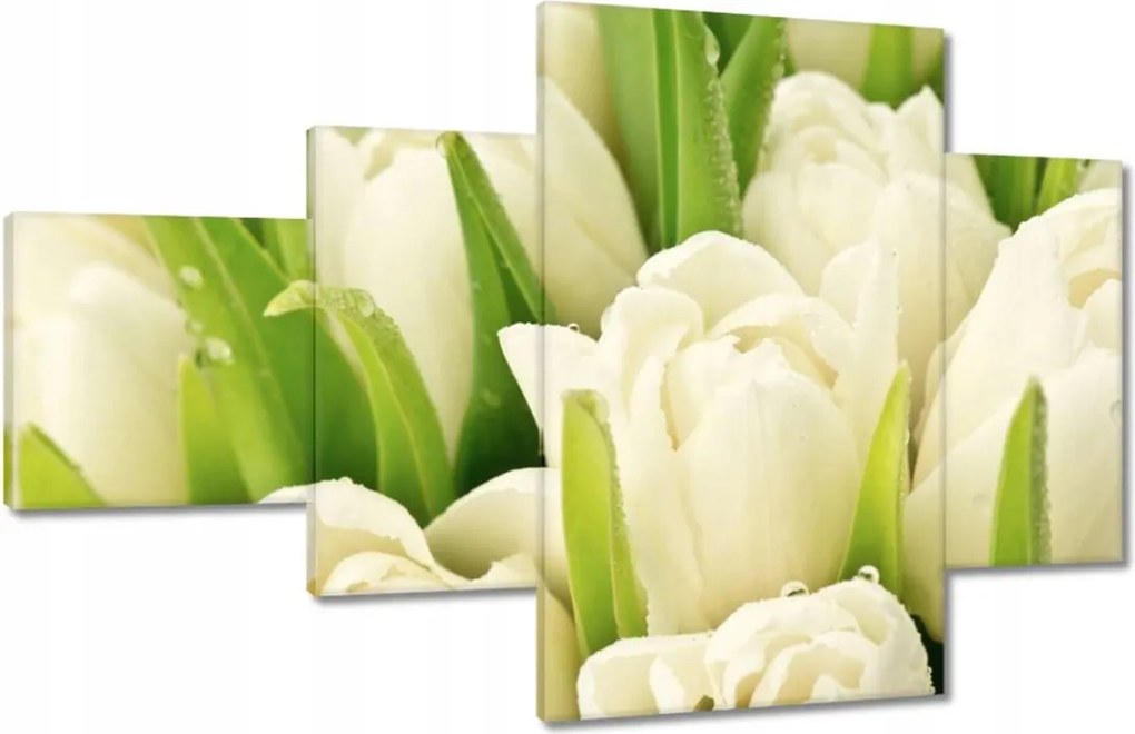 Vászonkép 130x80 Finom tulipánok