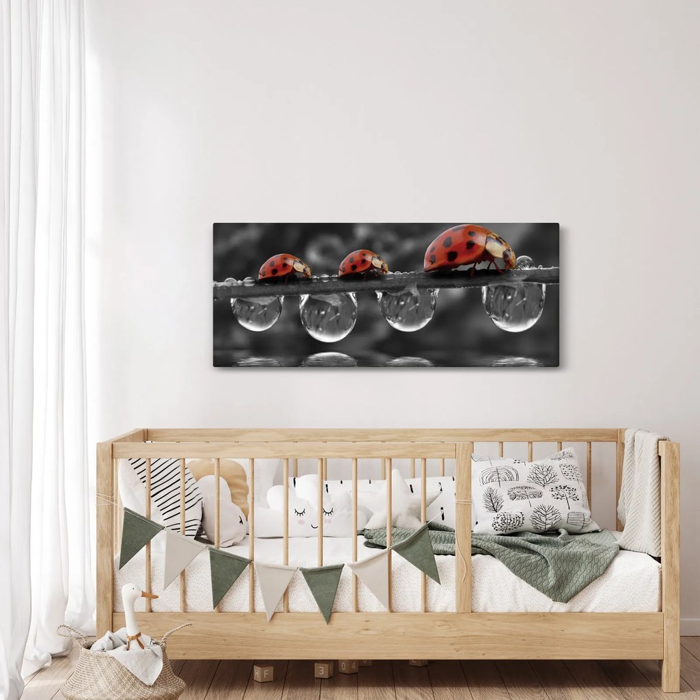 Kép - Napraforgó, fekete-fehér (120x50 cm)