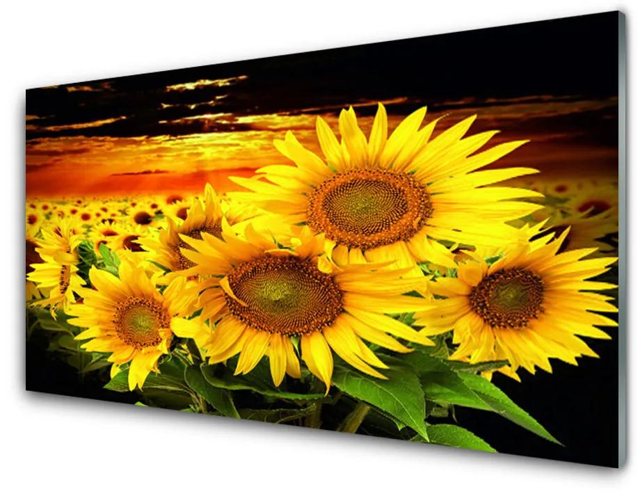 Fali üvegkép Napraforgó virág növény 140x70 cm