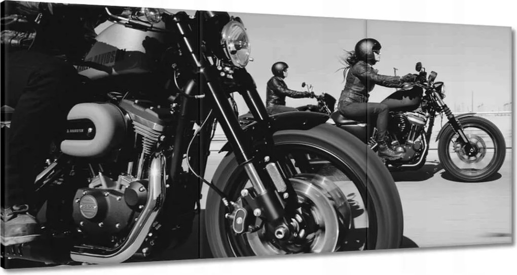 Képek 180x90 Harley Davidson Motorkerékpár