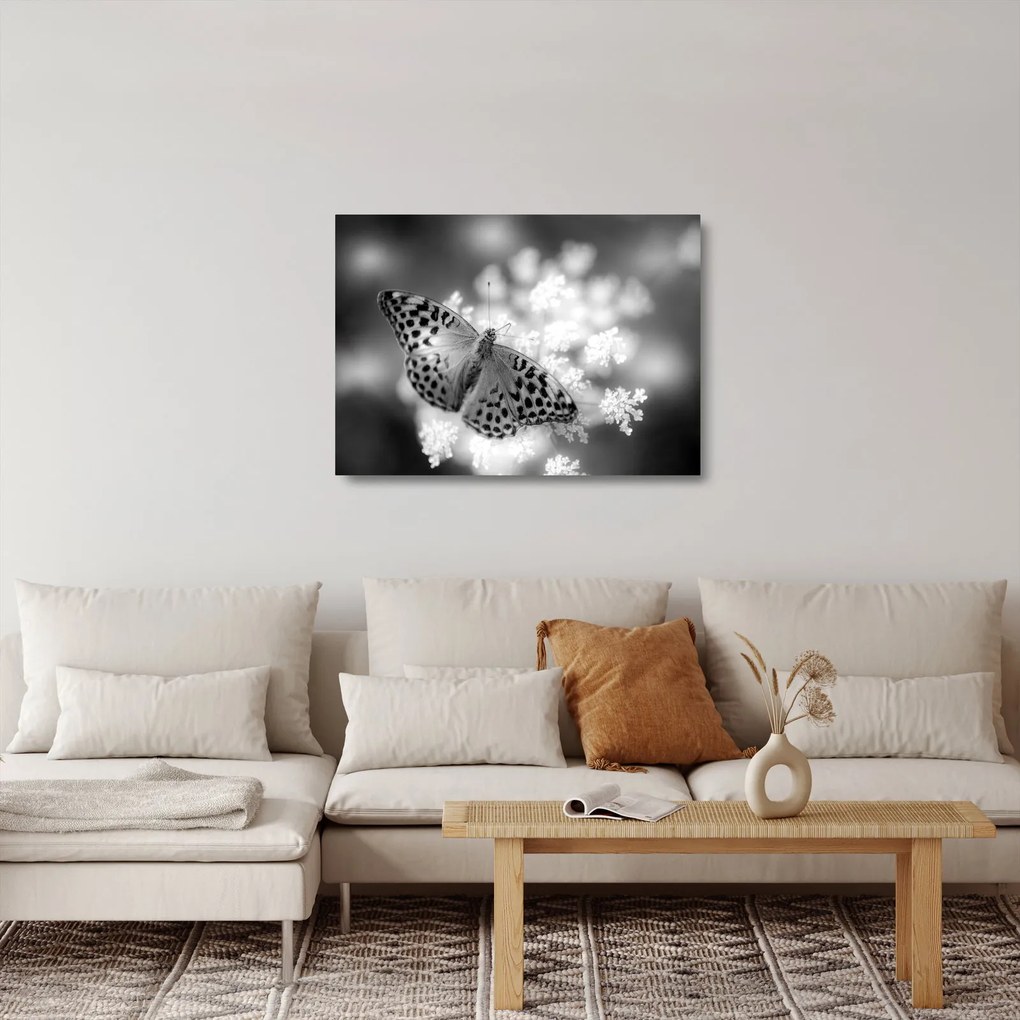 Kép - Részlet egy virágot beporzó pillangóról (üvegen) (70x50 cm)
