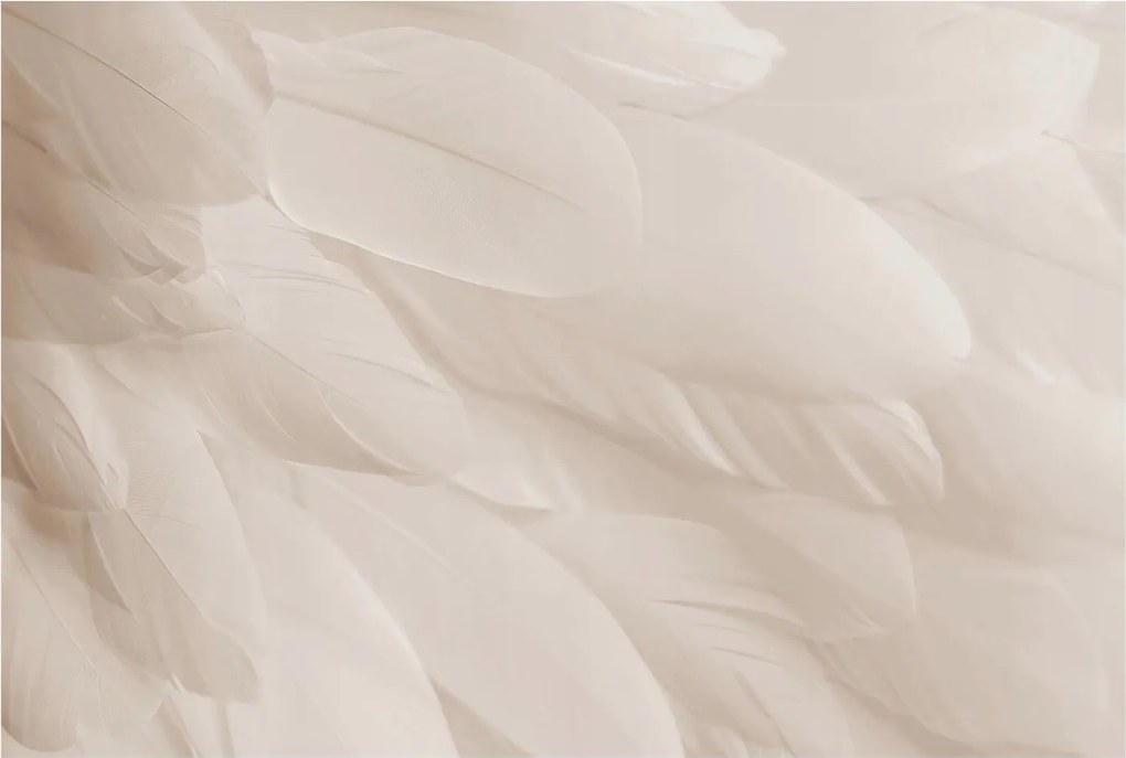 Fotótapéta Flizelin Tapéta Hálószobába és Nappaliba Éteri tollak 104x70