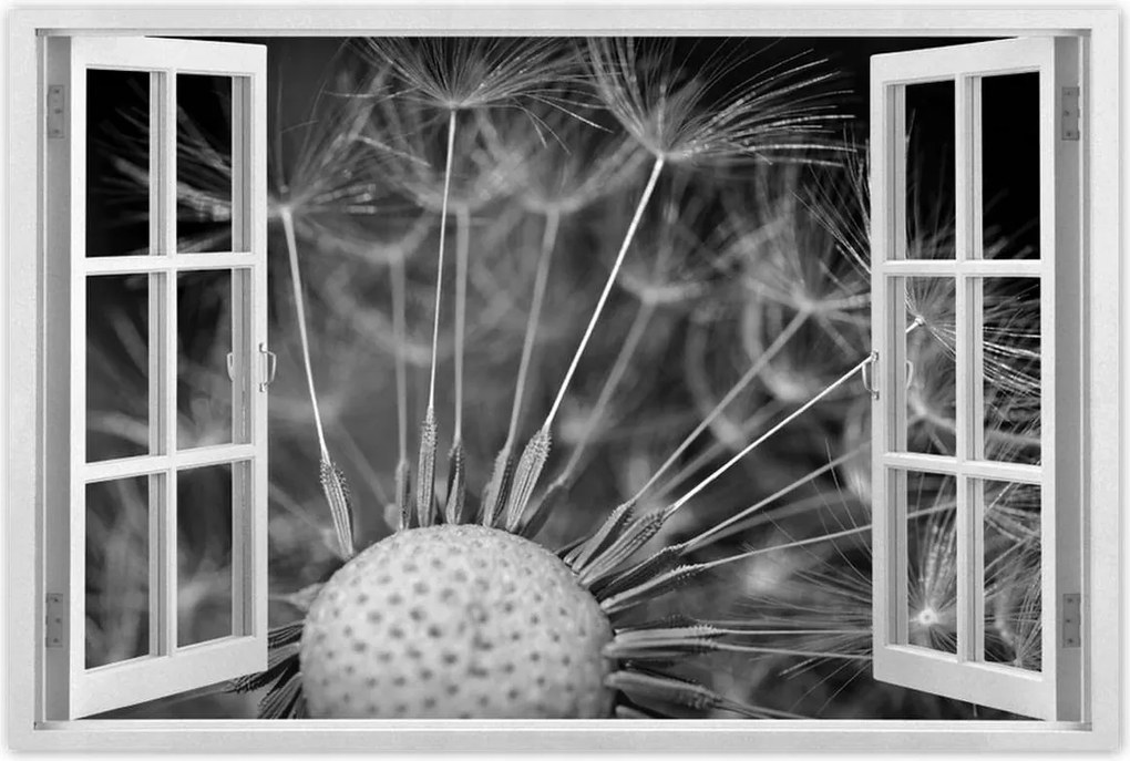 Poszterek 60x40 Pitypang Virág Virágok