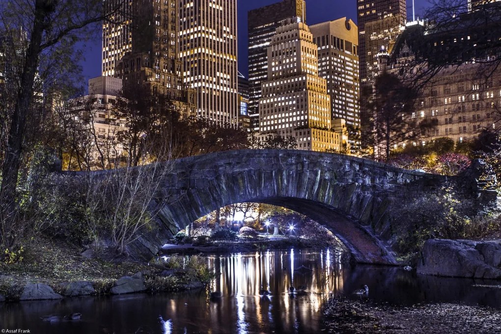 Poszter 30x20cm Esti kilátás a New York-i Central Parkra, Assaf Frank