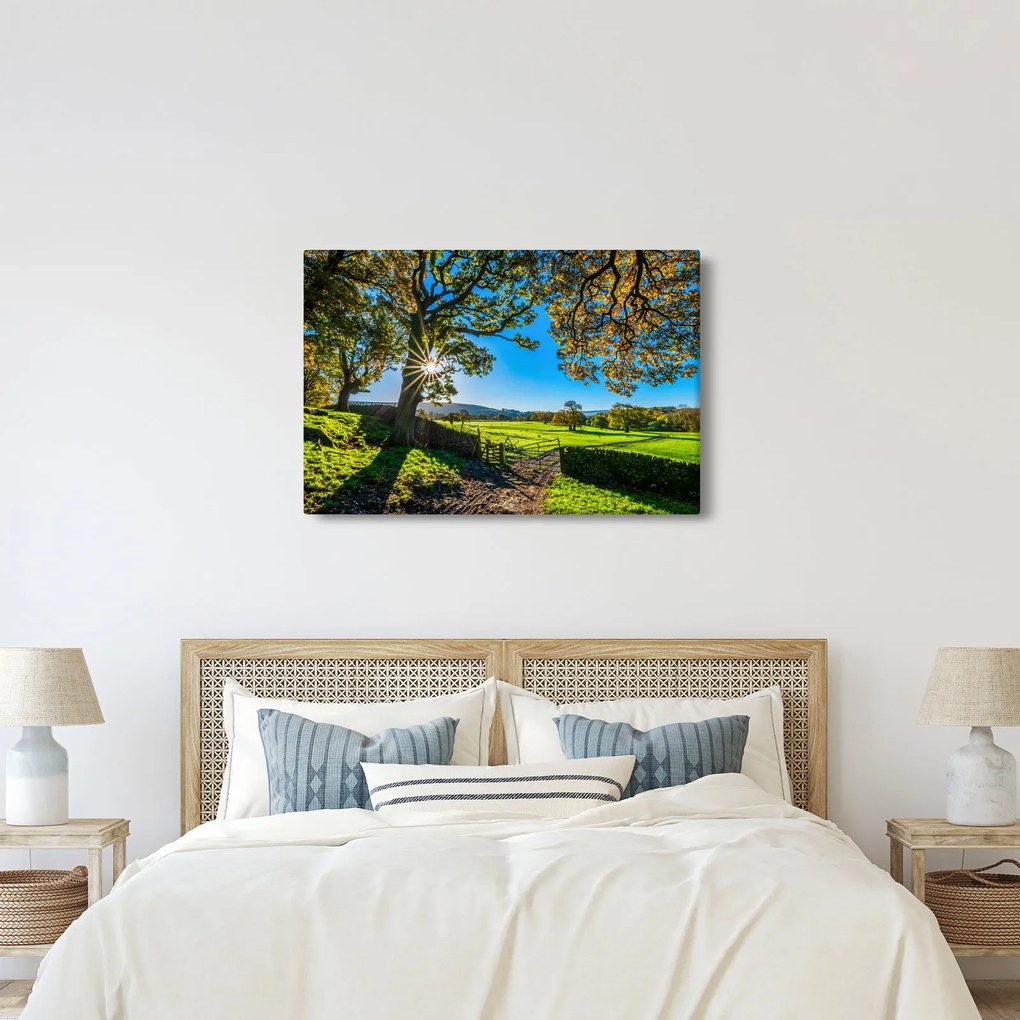 Kép - mező, kilátás (90x60 cm)