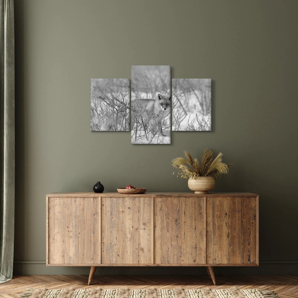 Kép - Róka, fekete, fehér (90x60 cm)