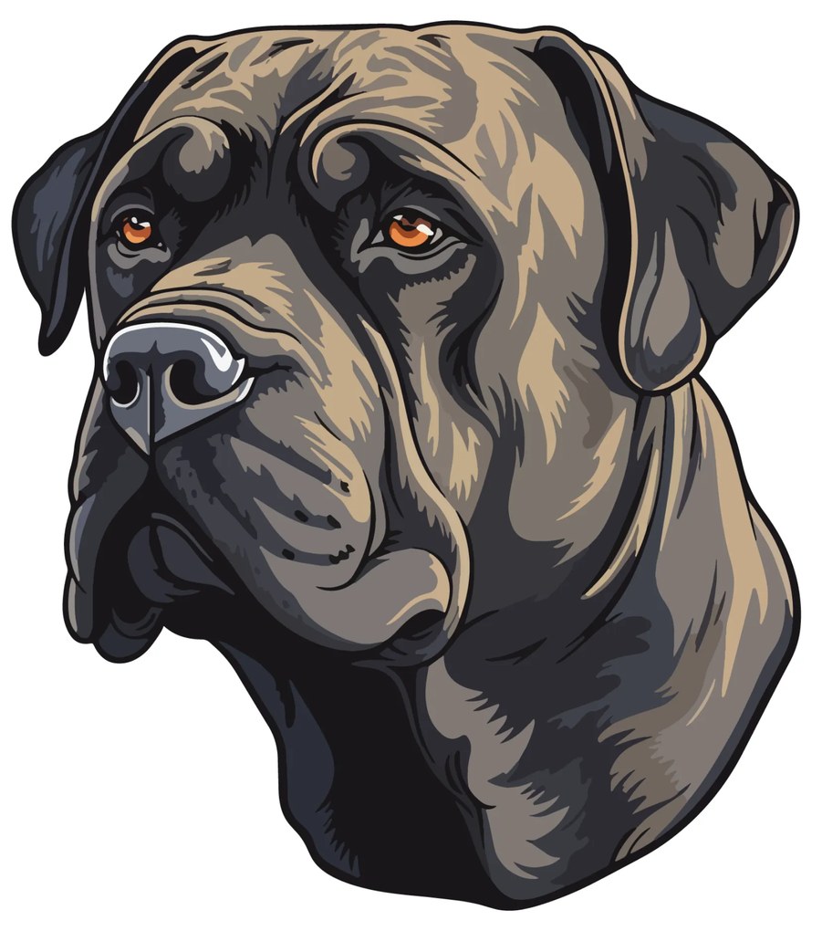 PIPPER. Matrica Cane Corso Méret: 15cm