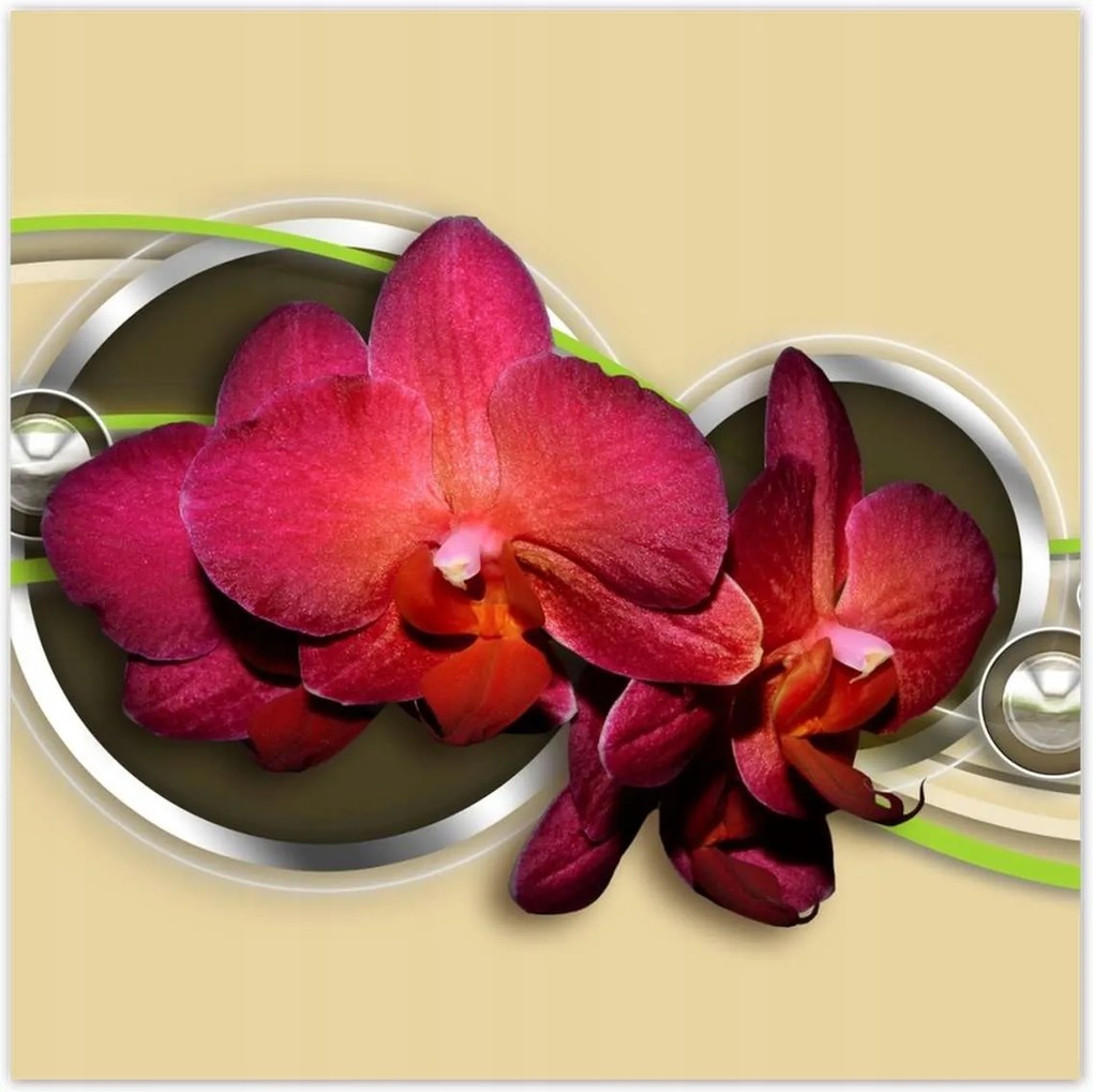 Poszterek 140x140 Virágok Absztrakt