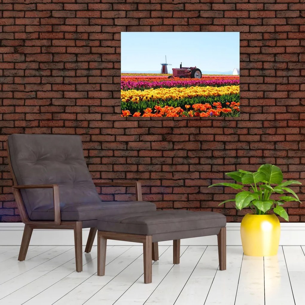 Tulipánfarm képe (70x50 cm)