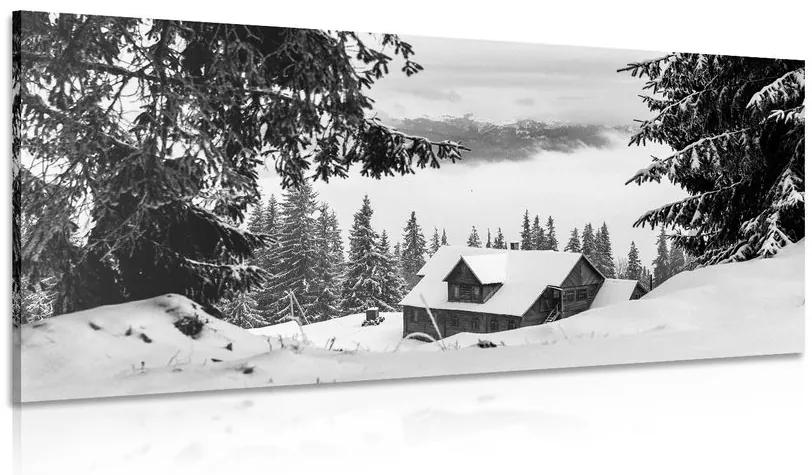 Kép faház fekete-fehér hóval borított fenyők mellett