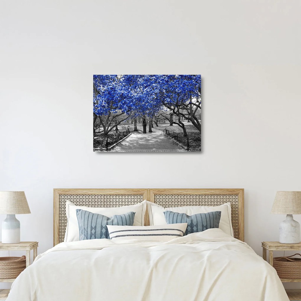 Kép - Kék fák, Central Park, New York (üvegen) (70x50 cm)