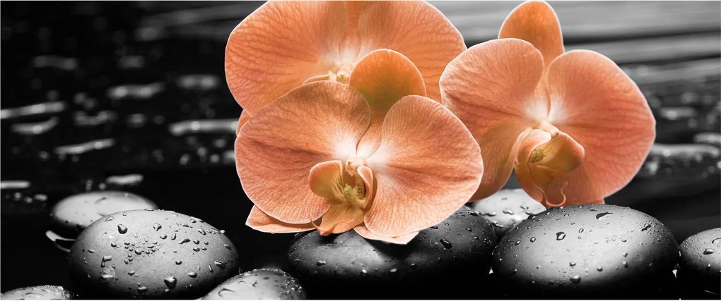 Kép - Narancssárga orchideák (120x50 cm)