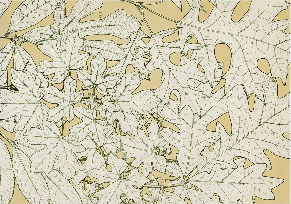 Flizelin tapéta Divatos 3D fali ragasztóval Falevelek 208x146 Ragasztó