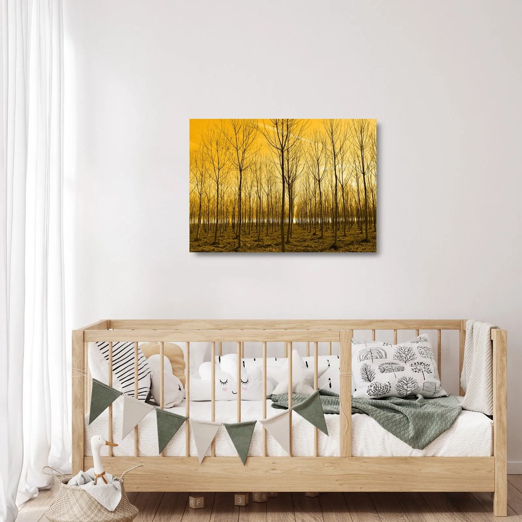 Egy erdő naplementekor képe (üvegen) (70x50 cm)