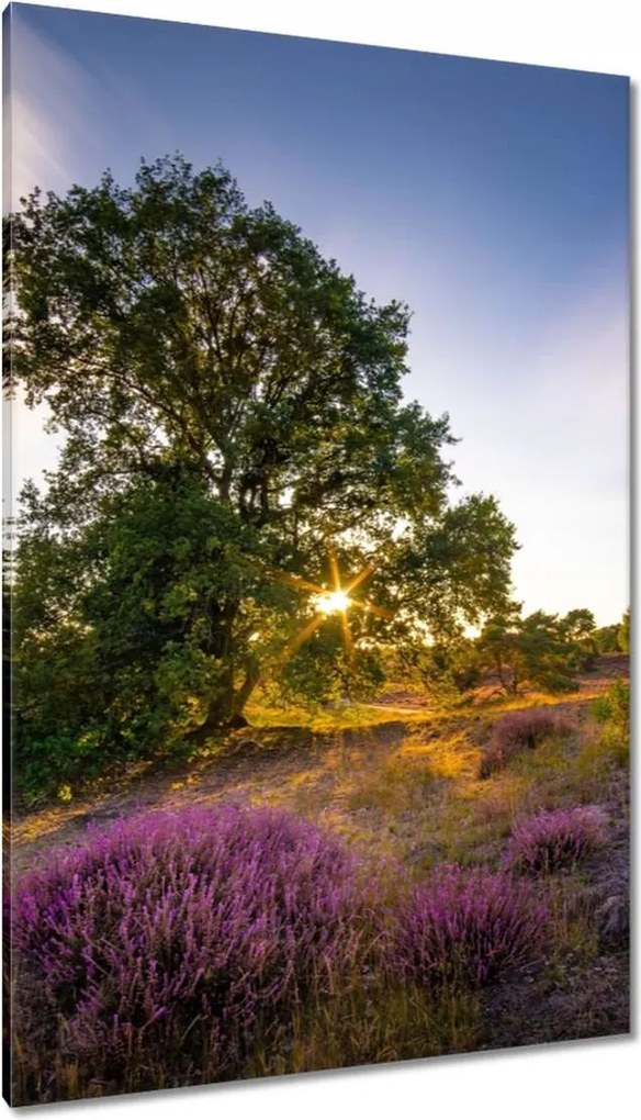 Festmények 80x120 Tájkép Látvány