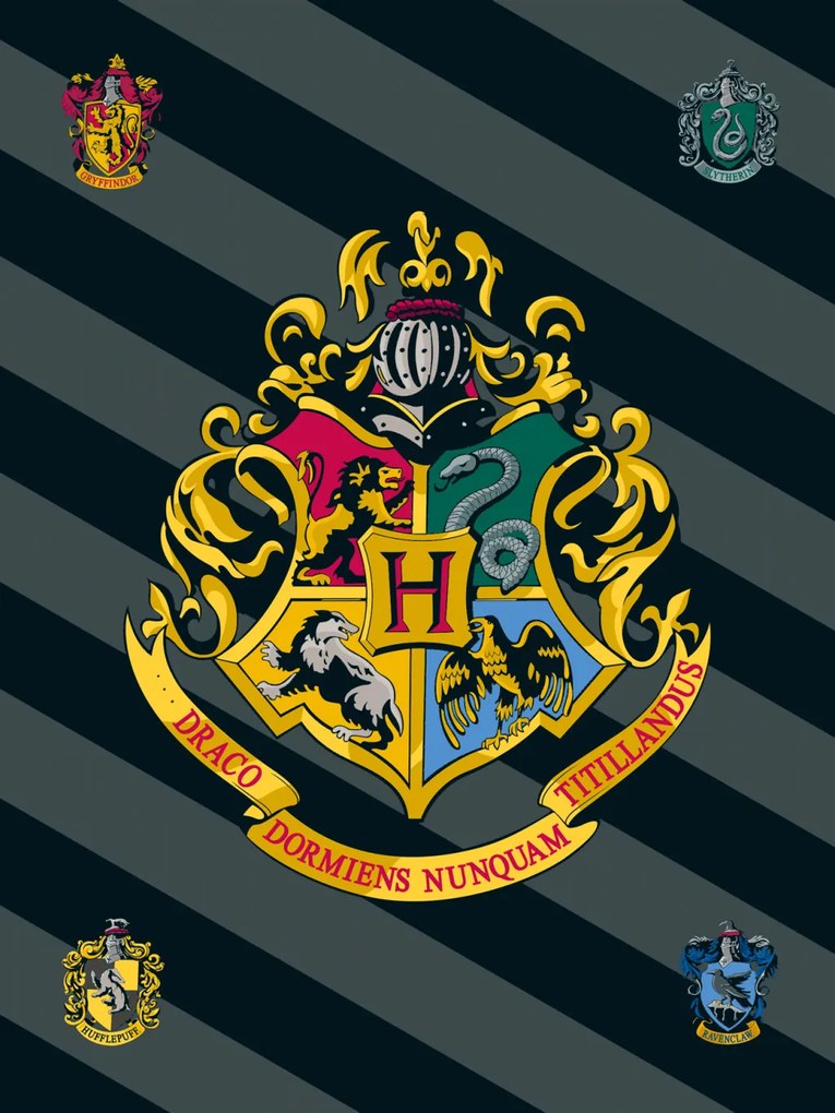 Harry Potter Crest polár takaró 100x150cm