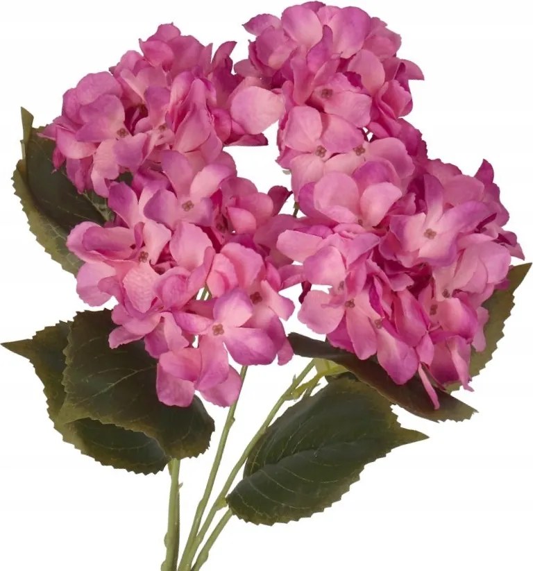 Mesterséges Virágok Növények Gallyak Hortenzia, Mint Élő