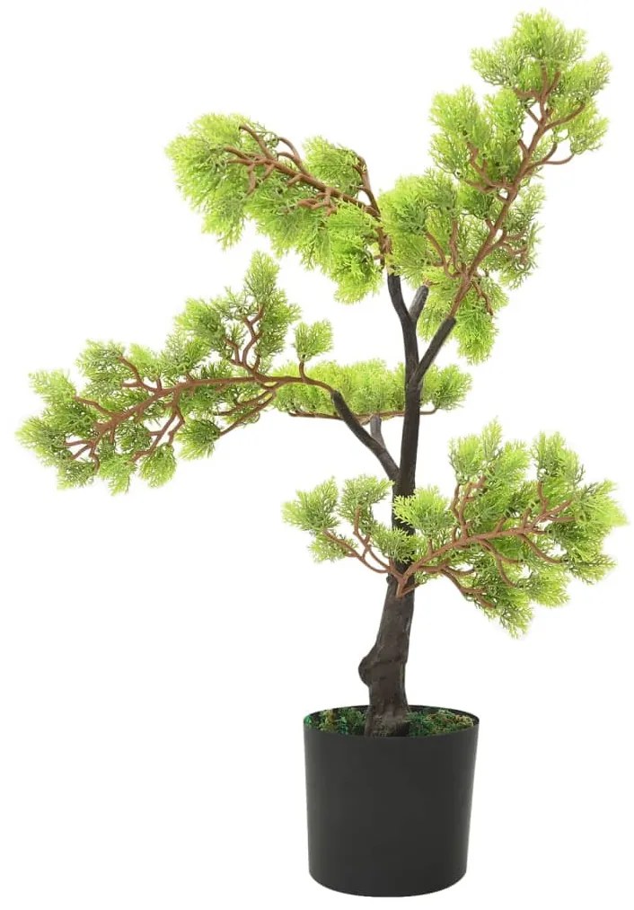 zöld cserepes mű ciprusbonsai 60 cm