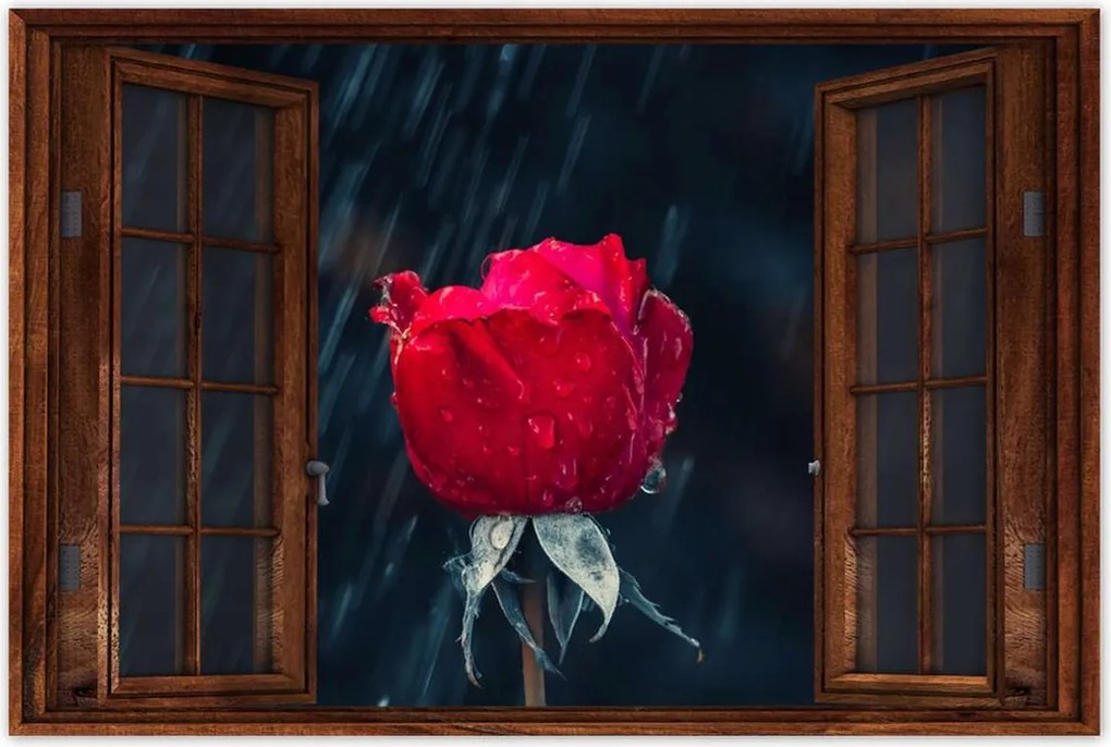 Poszterek 60x40 Rózsa Virág Virágok Rózsa