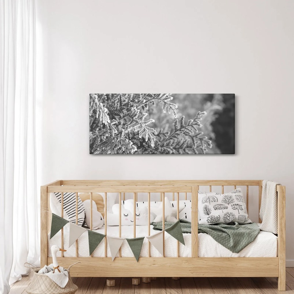Kép - Lucfenyő erdő (120x50 cm)