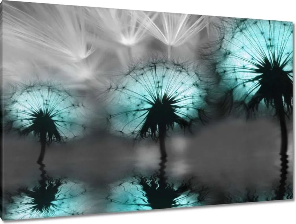 Vászonkép 120x80 Türkiz pitypangok Víz