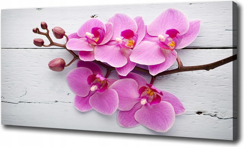 Vászonkép Orchidea a fán 120x60cm