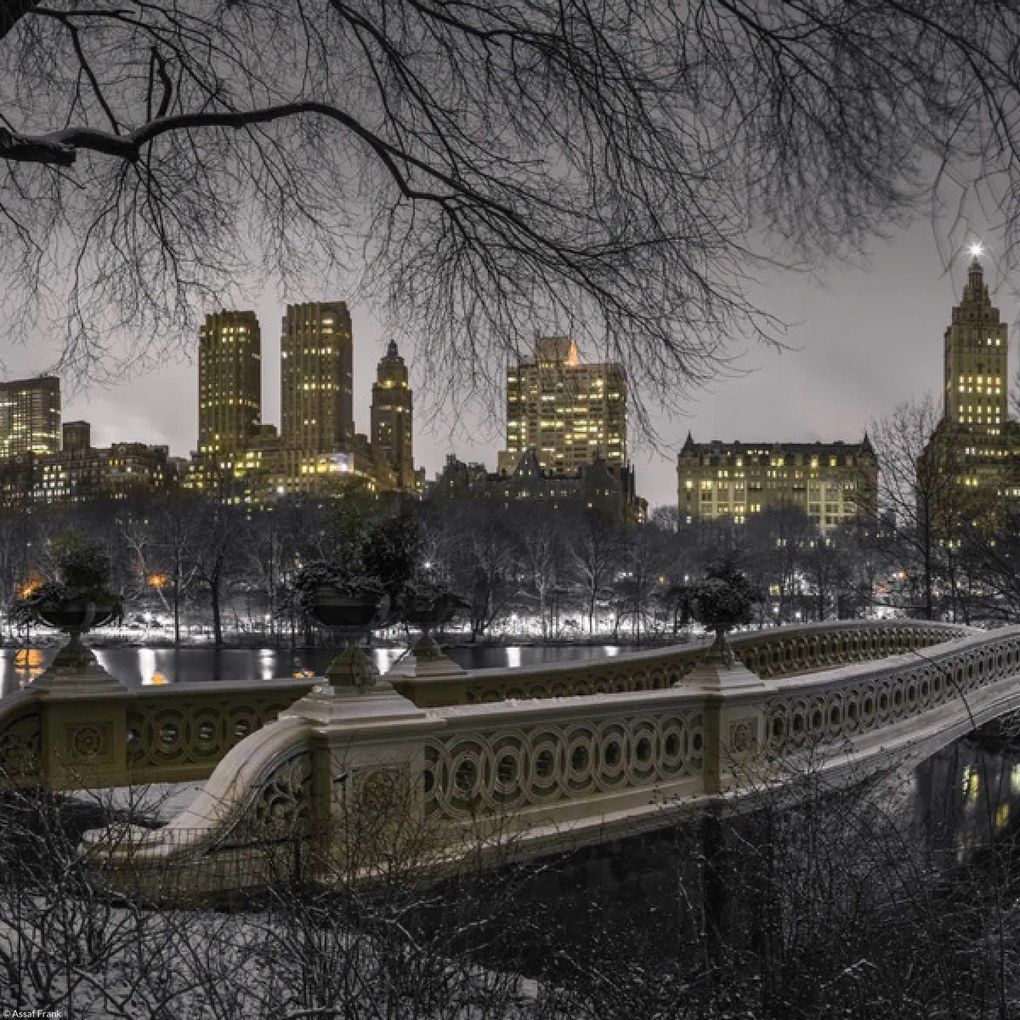 Poszter 30x30cm Központi park Manhattan panorámával, Assaf Frank
