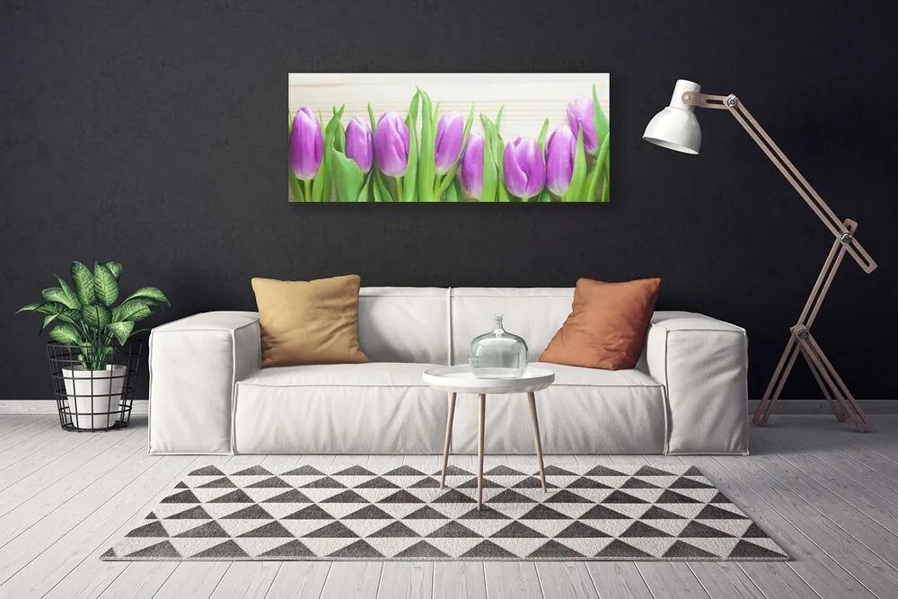 Vászonkép falra Tulipán virágok természet 100x50 cm