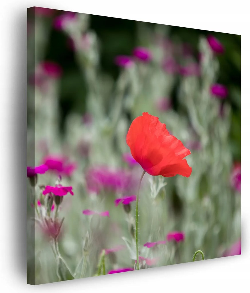 Vászonkép Botanika Virágoskert Virágok Természet 50x50 cm