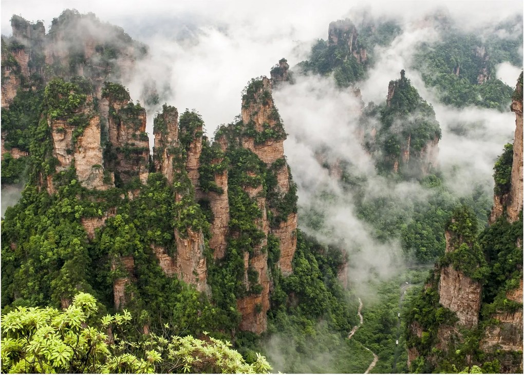 Kép - Zhangjiajie Nemzeti Park, Kína (70x50 cm)