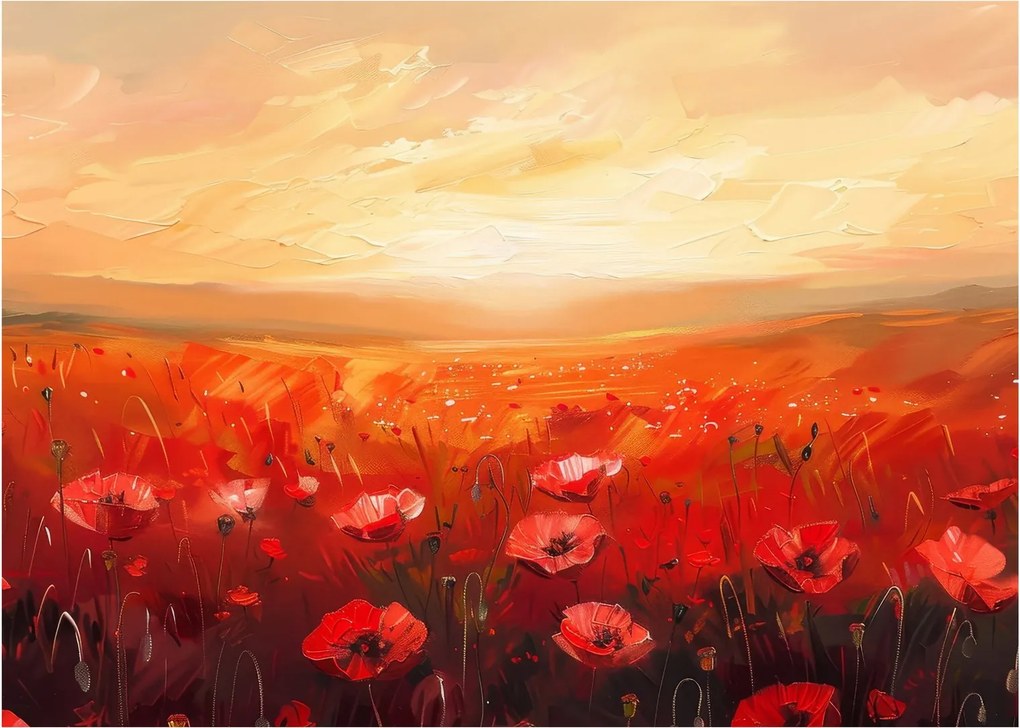 Kép - Mező pipacsok (70x50 cm)