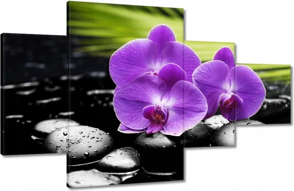 Vászonkép 130x80 Lila orchideák