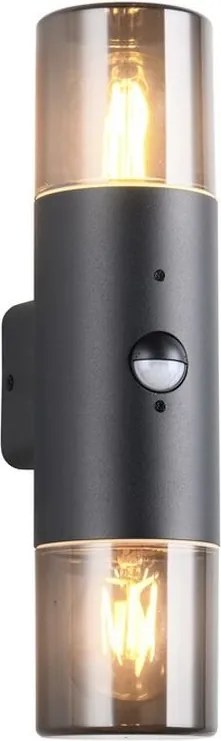 TRIO 222260232 HOOSIC Modern Kültéri Fali Lámpa Fekete E27 IP44