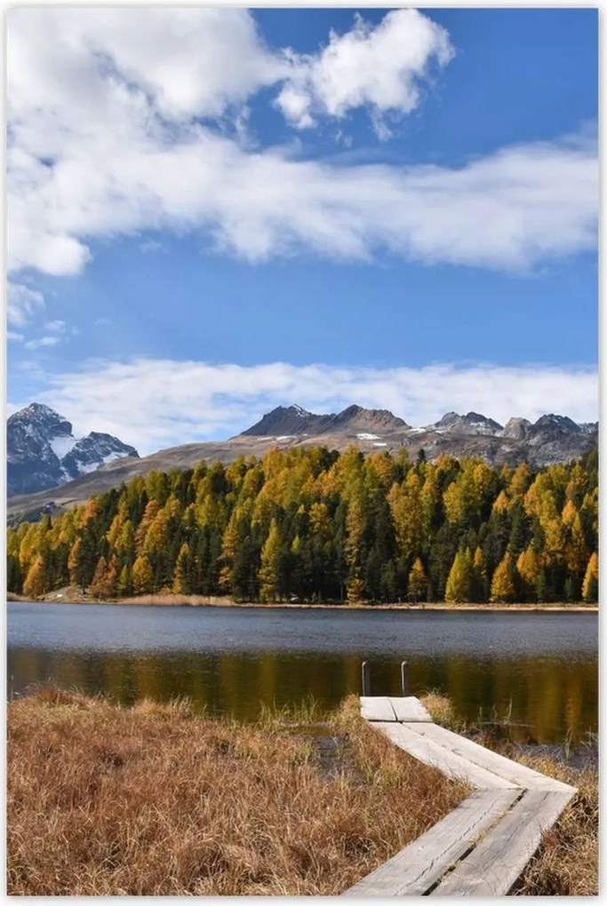 Poszterek 80x120 Tájkép Fa híd